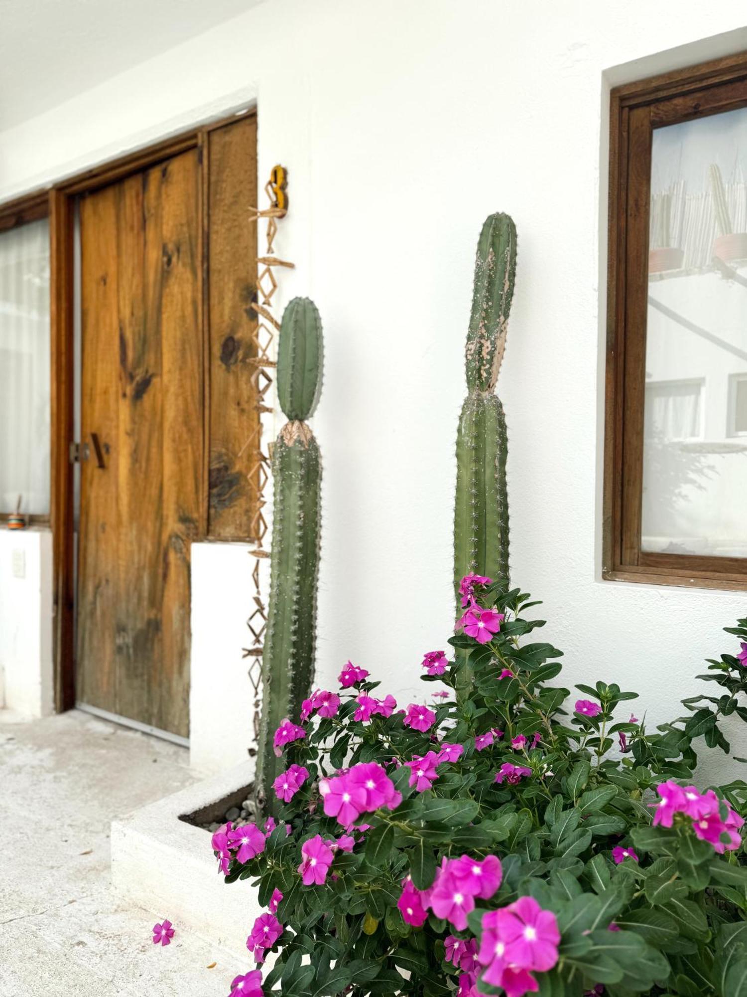 מלון Brisas de Zicatela Casa Leone La Punta מראה חיצוני תמונה