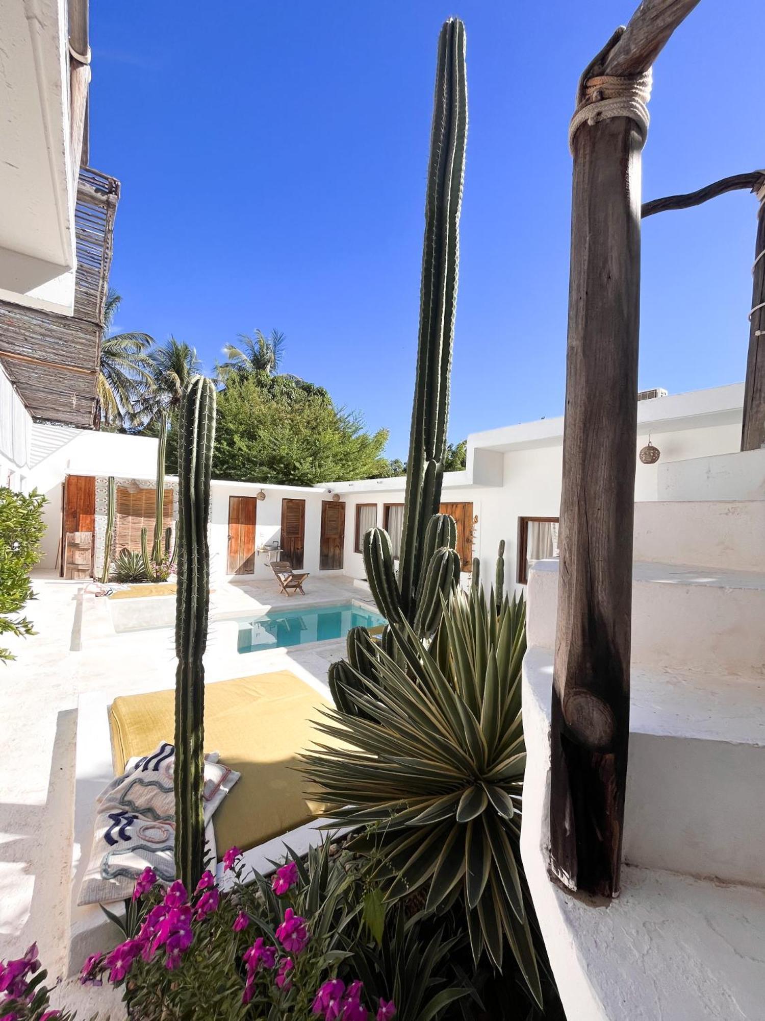 מלון Brisas de Zicatela Casa Leone La Punta מראה חיצוני תמונה